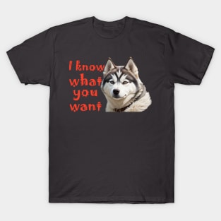 i know what you want poster T-Shirt